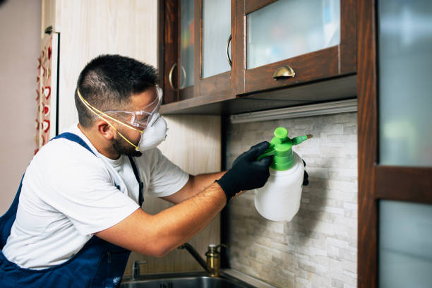 Best Best Pest Control Companies  in Lancaster, SC