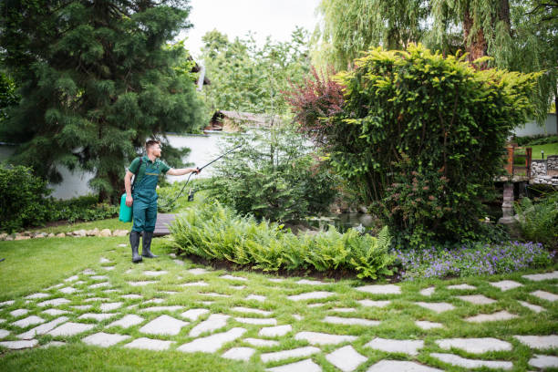 Best Local Pest Control Services  in Lancaster, SC