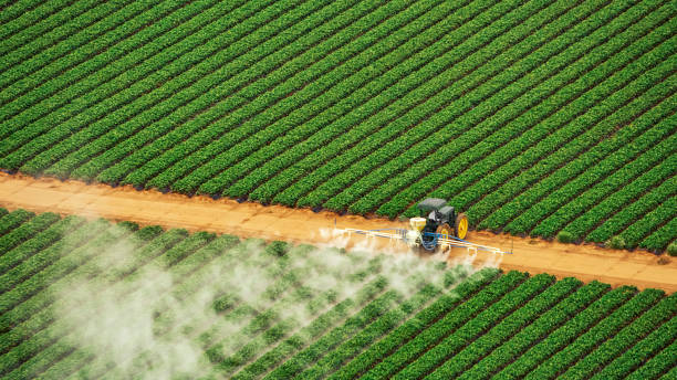 Best Pest Removal Services  in Lancaster, SC