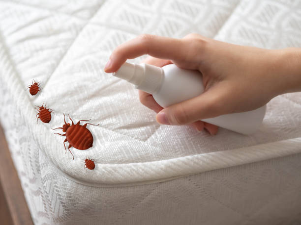 Best Commercial Pest Control Services  in Lancaster, SC