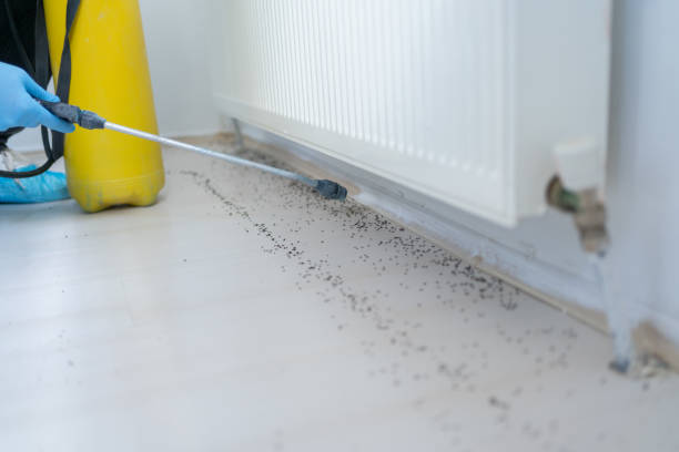 Best Spider Control Near Me  in Lancaster, SC