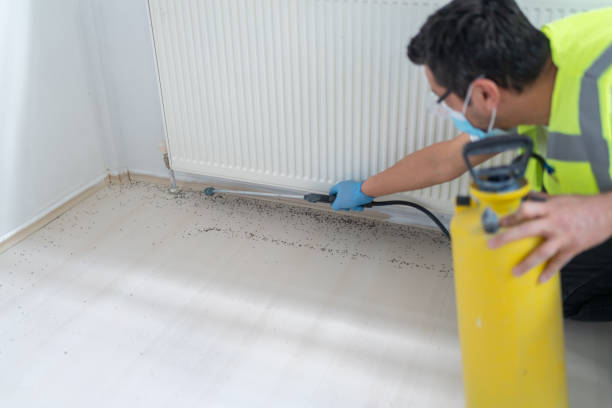 Professional Pest Control in Lancaster, SC