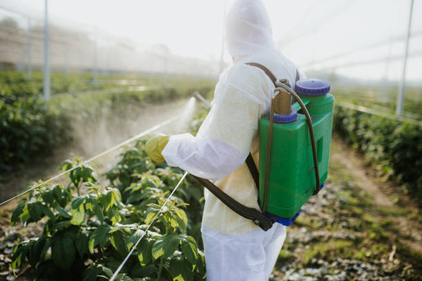 Best Commercial Pest Control Services  in Lancaster, SC